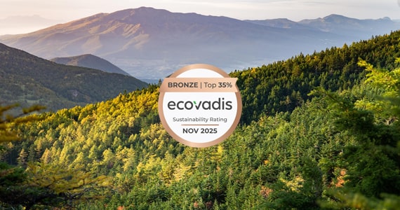 EcoVadis2025